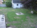 Back Lawn - Day 12